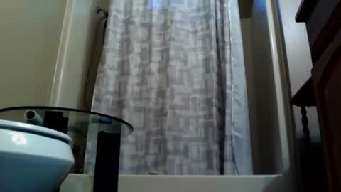 Southerncock online show from September 22, 2:43 pm