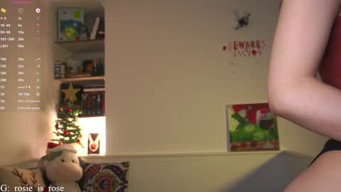 Snapshot of call_me_rosie chatting on December 2, 12:01 am   online show from December 2, 12:01 am