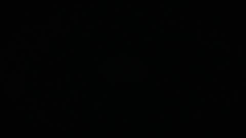 Charly online show from March 17, 11:59 am