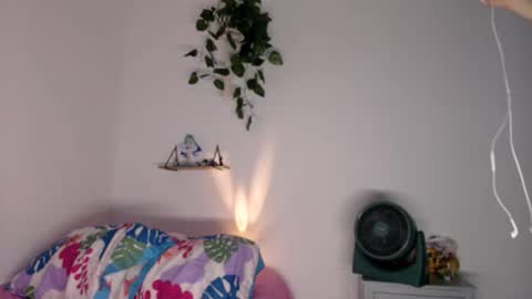 trini-1000 online show from December 1, 12:30 am