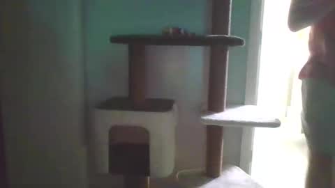 Snapshot of cammyman6900 chatting on September 12, 4:14 am cammyman6900 online show from September 12, 4:14 am