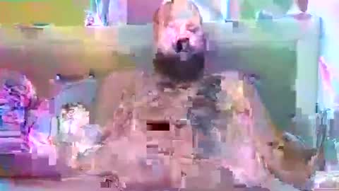 Markg86 online show from June 18, 12:49 am