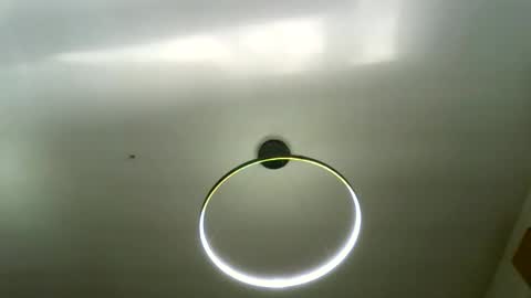 Carlos online show from March 16, 8:29 am