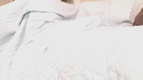 Carolina online show from April 10, 6:30 am