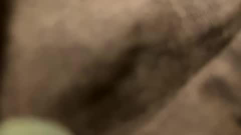 casidy1 online show from February 2, 11:21 pm