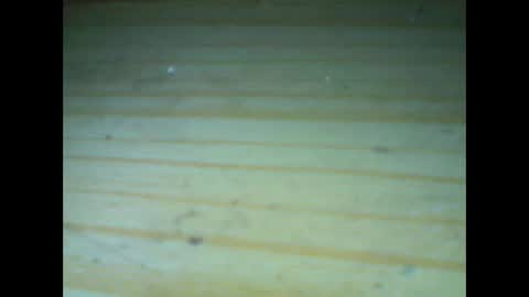 castells online show from January 17, 9:08 am