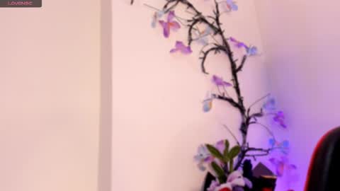 Cataleya Cast online show from November 12, 7:11 am