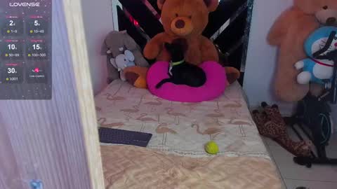 Catalina  online show from February 26, 2:08 am