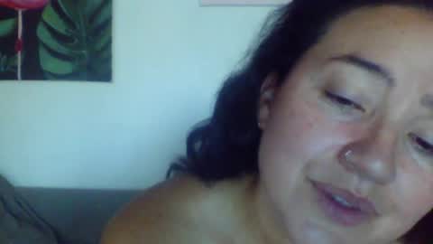 Cat online show from July 3, 6:56 pm