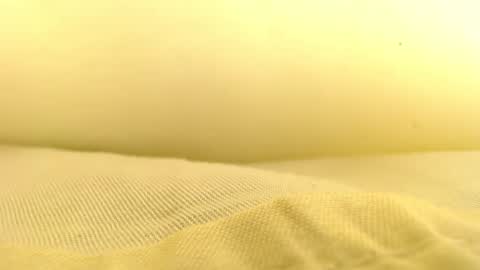 cath online show from December 2, 12:42 am