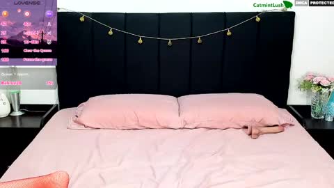 CatmintLush online show from March 14, 1:42 am