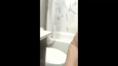 cats_summer online show from April 28, 8:18 am