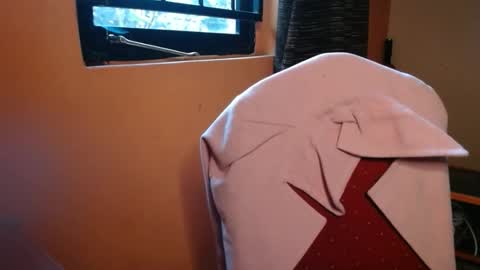 Babygirl. online show from February 7, 1:11 pm