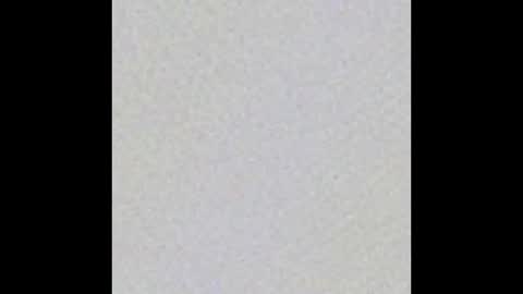 Chichi online show from November 16, 9:55 am