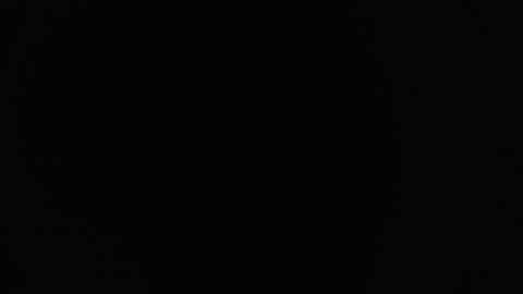 Lily online show from October 16, 7:52 am