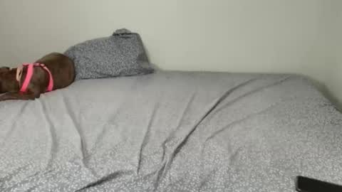 Viviana 3 online show from October 19, 8:57 pm