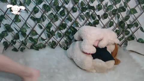 charly_evans60 online show from March 2, 11:09 pm