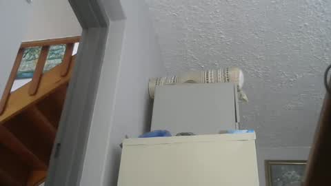 chaturbatordeluxe online show from February 22, 2:52 pm