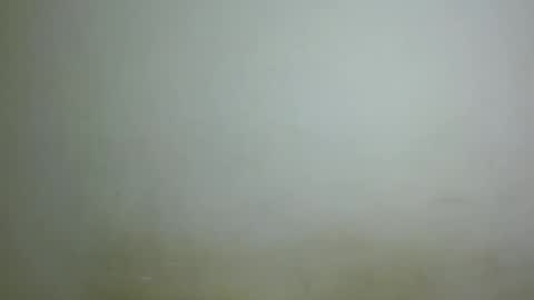 Snapshot of chocolatebony_ chatting on January 22, 10:05 pm chocolatebony_ online show from January 22, 10:05 pm