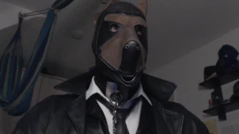 chrisdan_ online show from February 16, 12:30 am