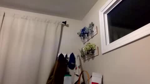 COACH online show from December 17, 3:13 am