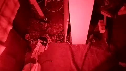 Cocolino  online show from April 12, 5:17 pm