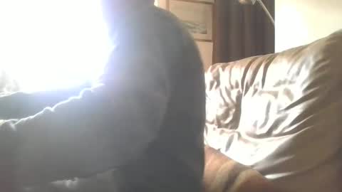 cock9635 online show from December 28, 7:55 am