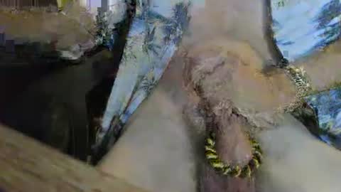 cocksmana online show from March 15, 12:15 am