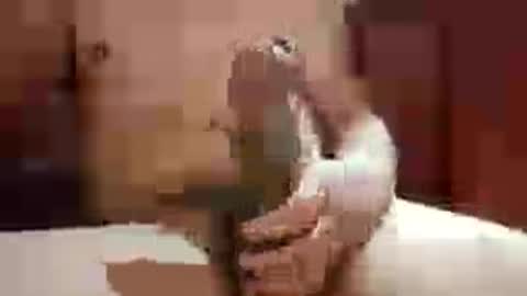 confuci online show from July 13, 11:41 pm