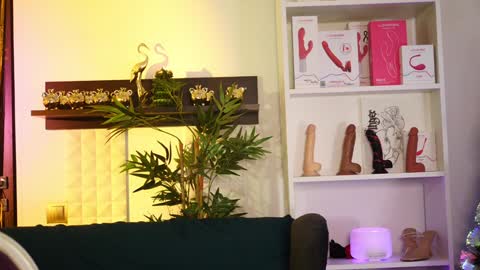 Snapshot of coolteacher chatting on January 12, 11:17 am Ginger The Cringer online show from January 12, 11:17 am