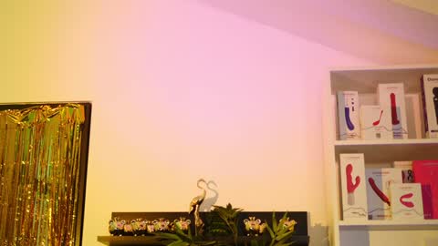 Snapshot of coolteacher chatting on January 18, 10:17 am Ginger The Cringer online show from January 18, 10:17 am