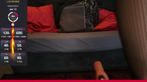 Snapshot of coolteacher chatting on February 7, 11:56 am Ginger The Cringer online show from February 7, 11:56 am