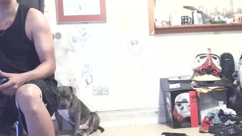 drbucknaked online show from September 17, 3:21 am