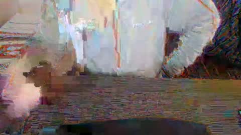 Creamormilk online show from October 16, 1:55 pm