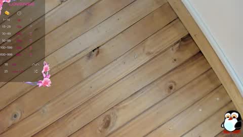 Cristal online show from January 16, 4:10 am