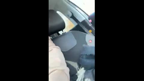 Tuesday December 03 Kathe alone 1000am UTC 1   online show from December 17, 12:54 pm