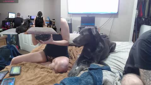 Crownandkat online show from March 2, 7:26 am