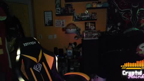 CryptidTwink online show from December 5, 6:37 am