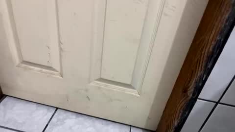 Cumman online show from January 10, 5:46 am