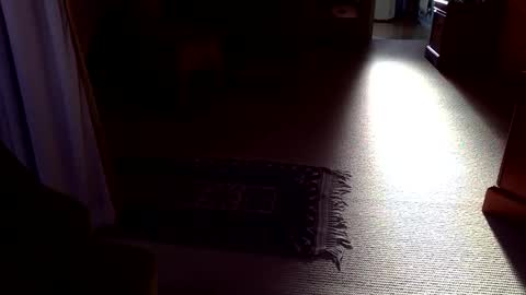 cumonherguys online show from October 28, 8:26 am