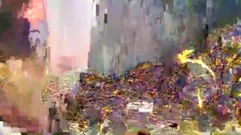 Zia online show from November 17, 11:18 pm