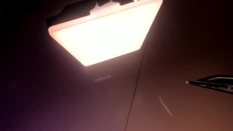 Laura online show from March 17, 11:15 am