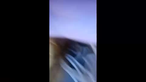 D online show from October 17, 9:46 am