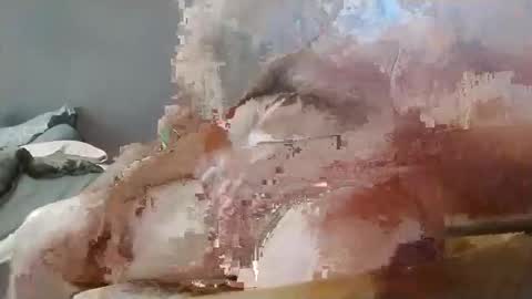 d_dubbs online show from September 15, 2:18 pm