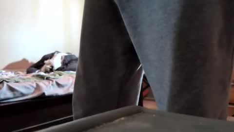 da_man411212 online show from May 10, 11:44 pm