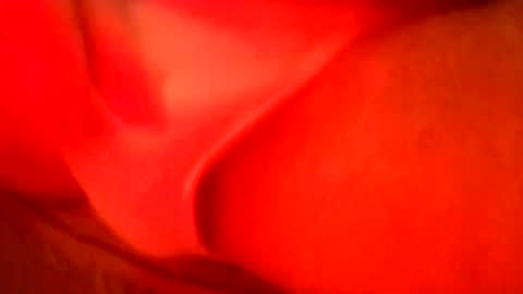 daaavy11 online show from September 24, 12:39 am