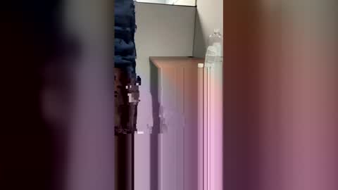 DaddyLeeBBC online show from March 10, 6:07 am