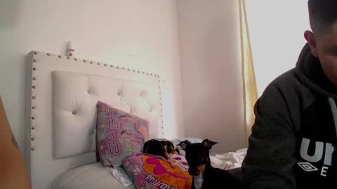 Dakota and Aron online show from March 6, 7:32 pm