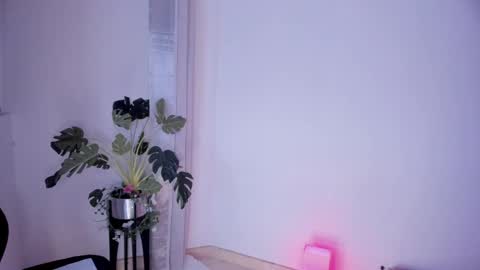 Snapshot of danna_stewart chatting on March 2, 4:39 am Paulina online show from March 2, 4:39 am