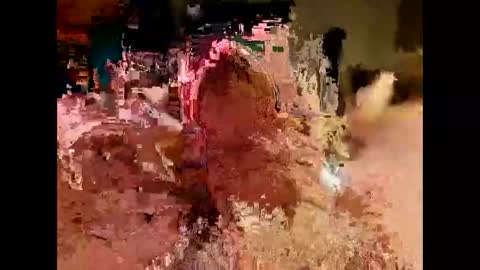 danner70 online show from November 13, 10:40 am